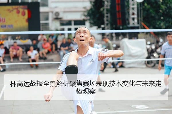 林高远战报全景解析聚焦赛场表现技术变化与未来走势观察